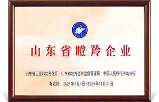 山东省瞪羚企业