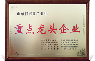 Key Leading Enterprise of Shandong Province